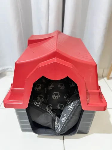 Caminha pet