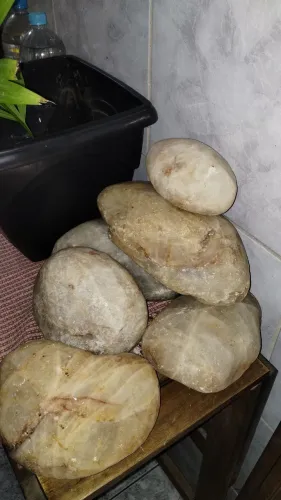 Pedras quartzo branco leitoso grandes