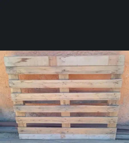 Palet robusto 