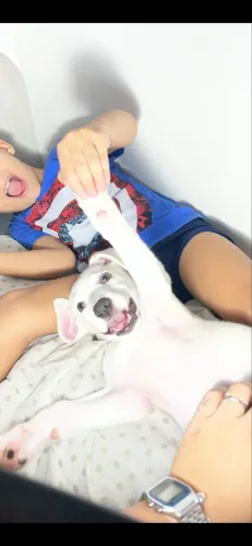 Doação