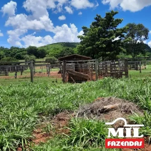 Fazenda 210 Alqueire (1016Ha) Alto Garças - MT