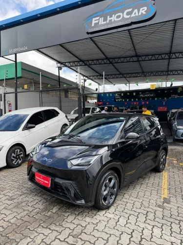 BYD Dolphin Mini (Elétrico) 2025