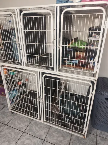 Canil, gatil, gaiola 5 lugares para Pet Shop