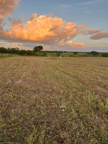 3 tarefas de terras à venda