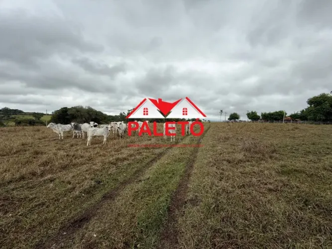 Sítio 4,75 alqueires a venda na cidade de Porangaba, interior de SP, açudes, água sabesp, 