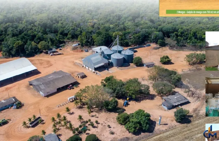 Fazenda REGIAO DE CAMPO NOVO