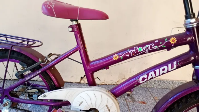 Bicicleta Cairu flowers