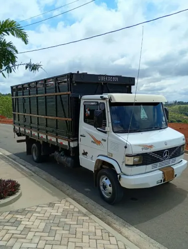 Caminhão Mercedes-Benz Boiadeiro 710