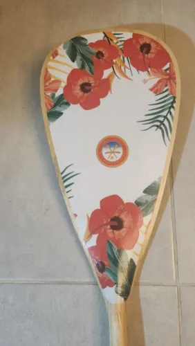 Remo canoa haviana