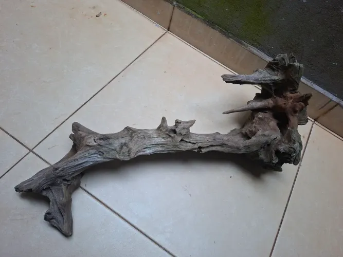 Raiz para aquario ou artesanato