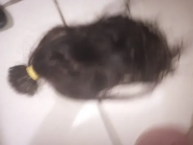 Cabelo Humano virgem para mega hair 