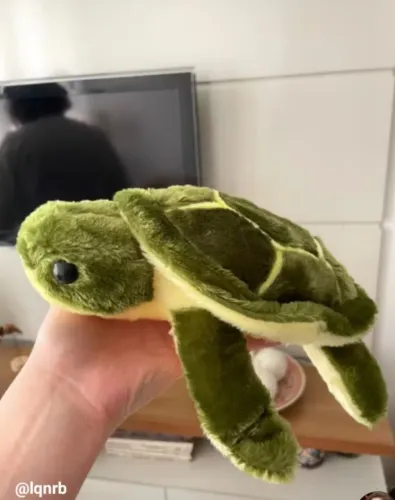 Vendo tartaruga de pelúcia . Você comprar e ajuda a preservar elas .