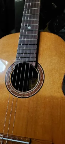 Violão Di Giorgio Signorina