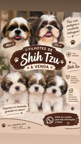 vende-se