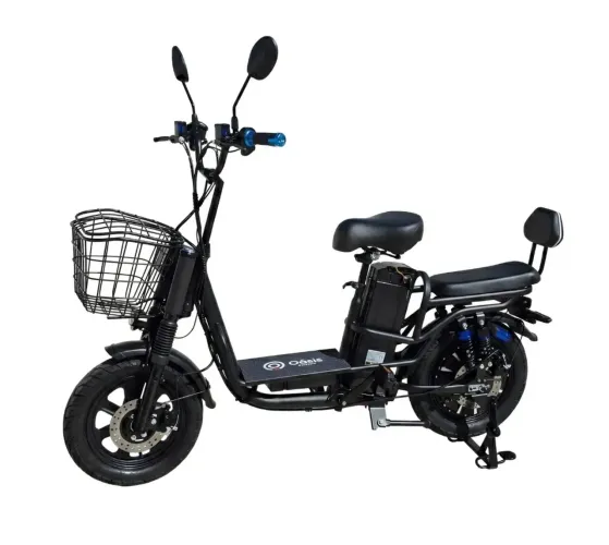 BICICLETA ELÉTRICA OÁSIS 1000W | ZERO KM