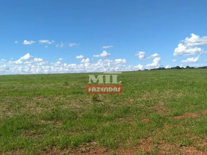 Fazenda 85 alqueires (411,4 hectares) Cristalândia - To