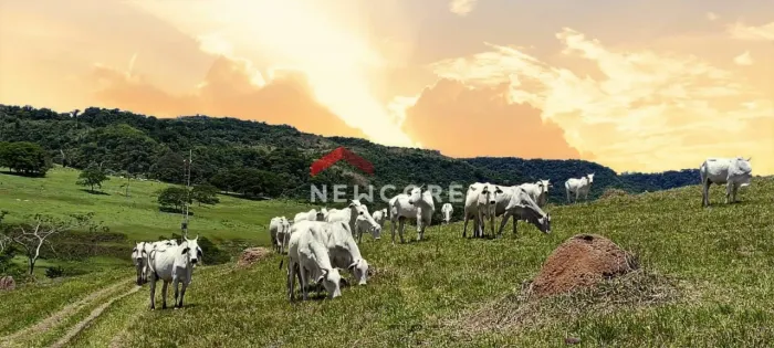Sítio em Rua Curuzu - Centro - Botucatu/SP