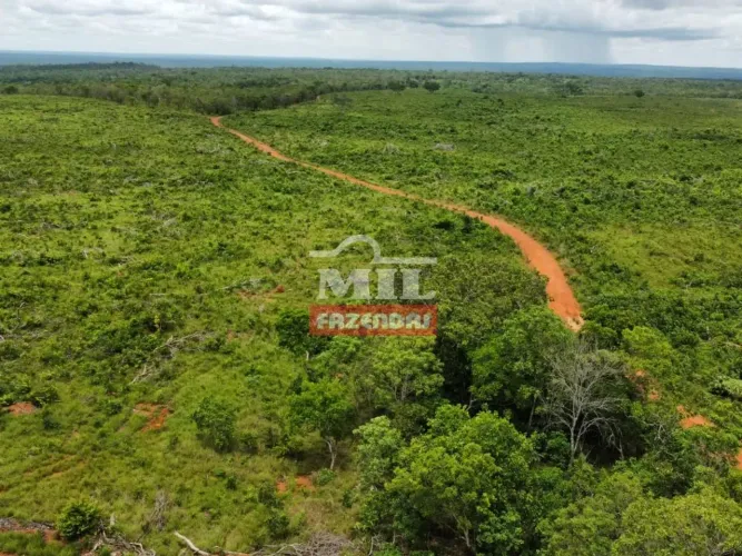 Fazenda 315 Alqueires (1.526 hectares) Rio do Sono - TO