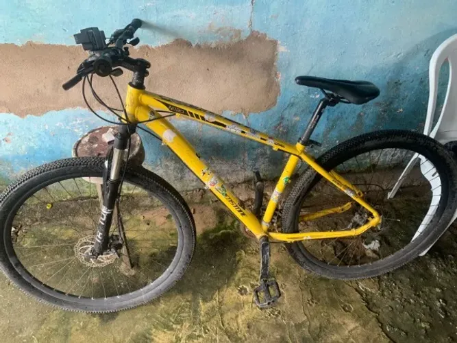 Bike Aro 29