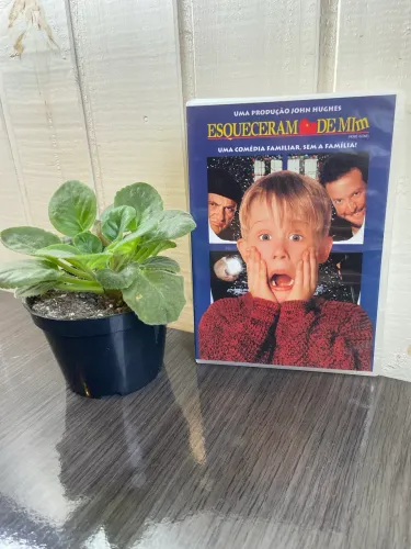 DVDs Esqueceram de Mim