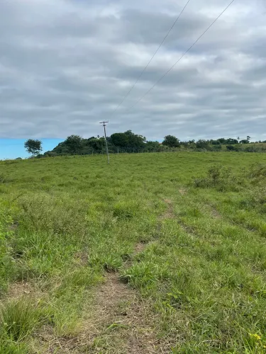 Fazenda em Santa Luiza do Itanhy