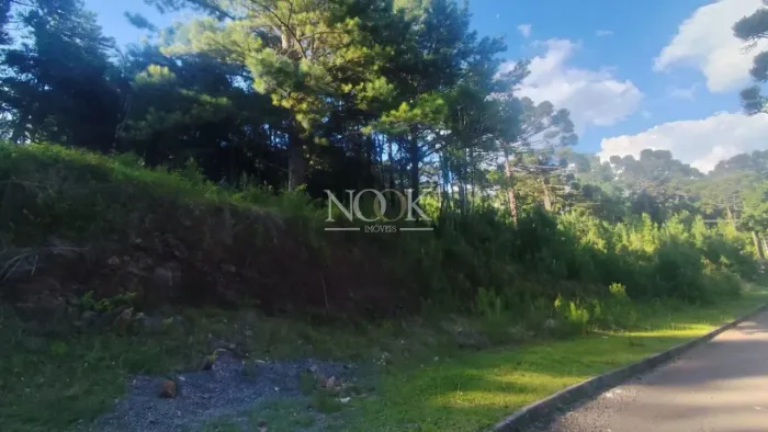 Terreno em Gramado | 450 m² para Construir Seu Projeto dos Sonhos