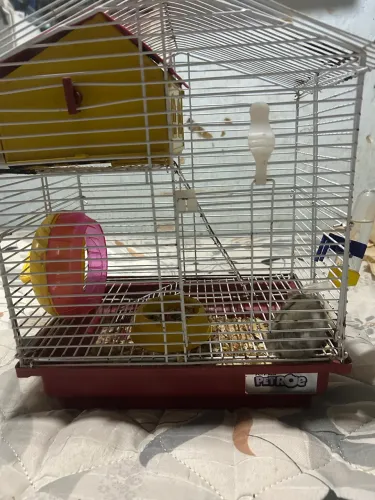Gaiola para hamster