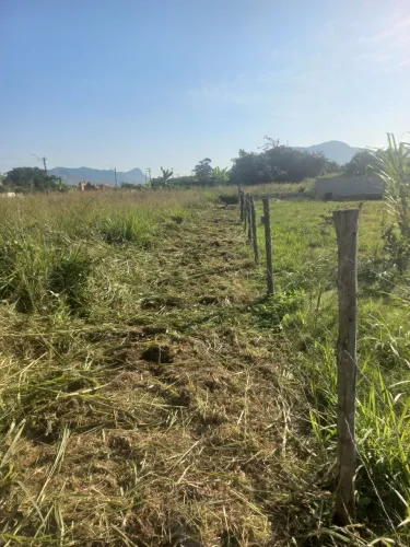 Corte de grama serviço de rocadeira