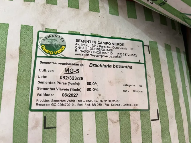 Semente de Pastagem