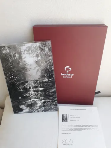 Foto Sebastião Salgado Floresta de Altitude com certificado