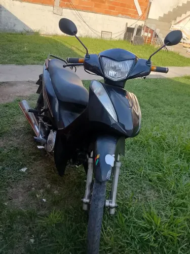tronco ou vendo