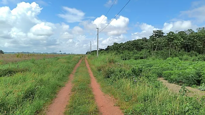vendo terreno próximo a Belterra