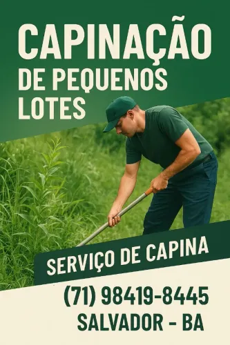Capinagem De Lotes, Quintais e etc...