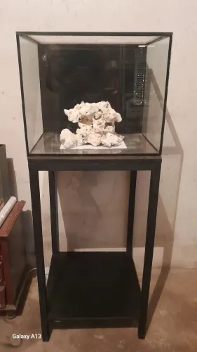 Aquario