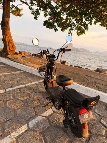 Bike Elétrica 800w