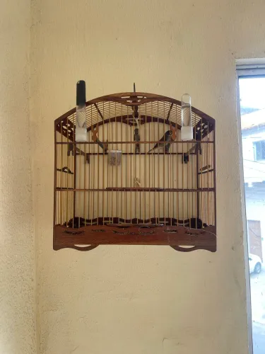 Gaiola