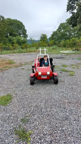 Mini buggy 