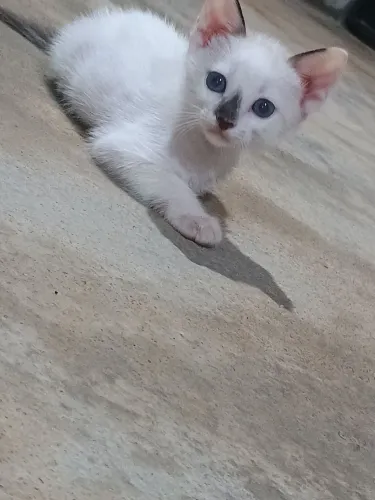 Doando esse princesinha ?