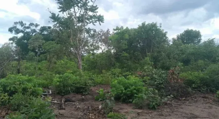 Vende-se lote setor agrotins 15 por 16 valor r$ 13.500 pego 10.000 e parcelo o outro