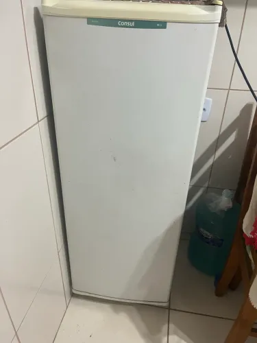 Freezer cônsul