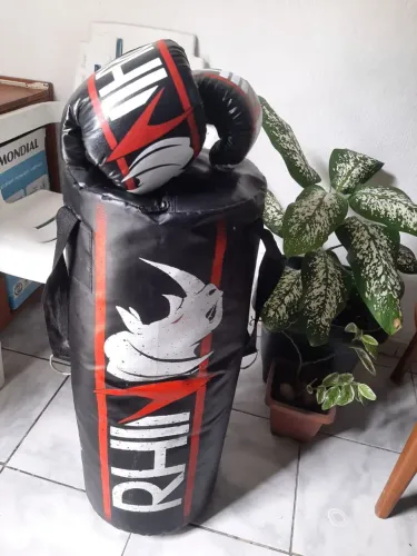 Saco de pancada com luva