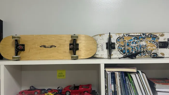 Skate de maple canadense 