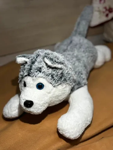 Urso de Pelúcia