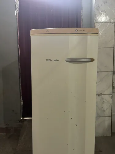 Freezer vertical Electrolux 