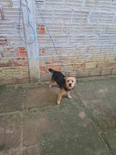 Doação 