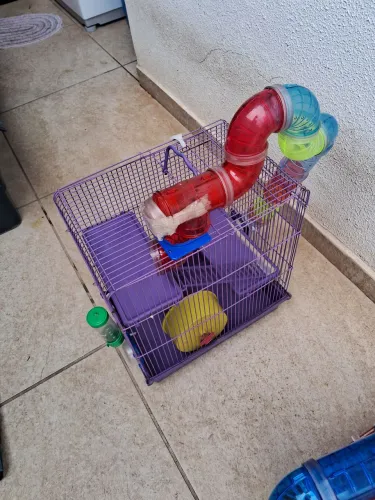 2 Gaiolas para Hamster e Twister 100$ cada ou as duas por 170$