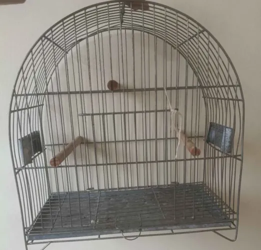 Gaiola de ferro para passarinho 