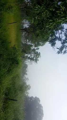 Vendo área de 10.000 metros quadrados no são bento área rural de Caetanópolis