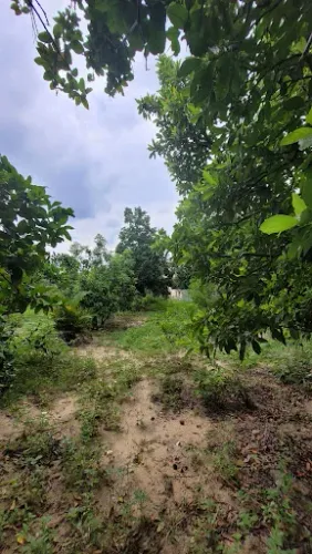 Terreno à venda, 450 m² por R$ 110.000,00 - Fonte Limpa - Araruama/RJ