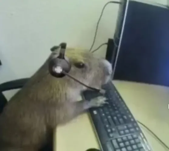 Sou freelancer 